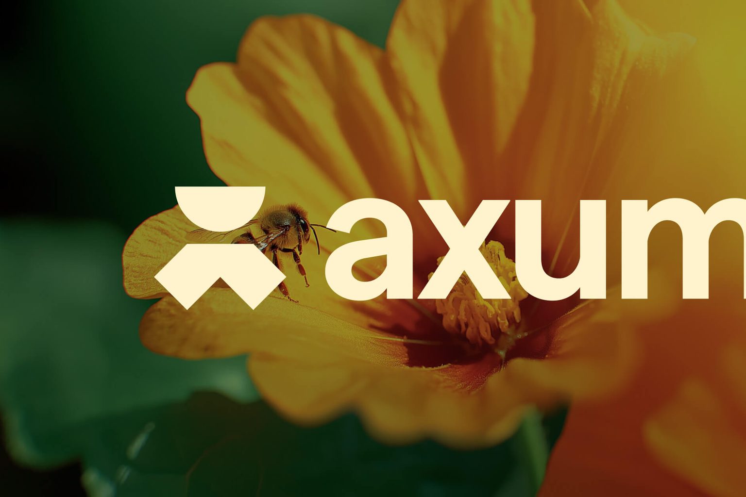 Axum Capital Acquires Controlling Stake in BARCODE Hydration