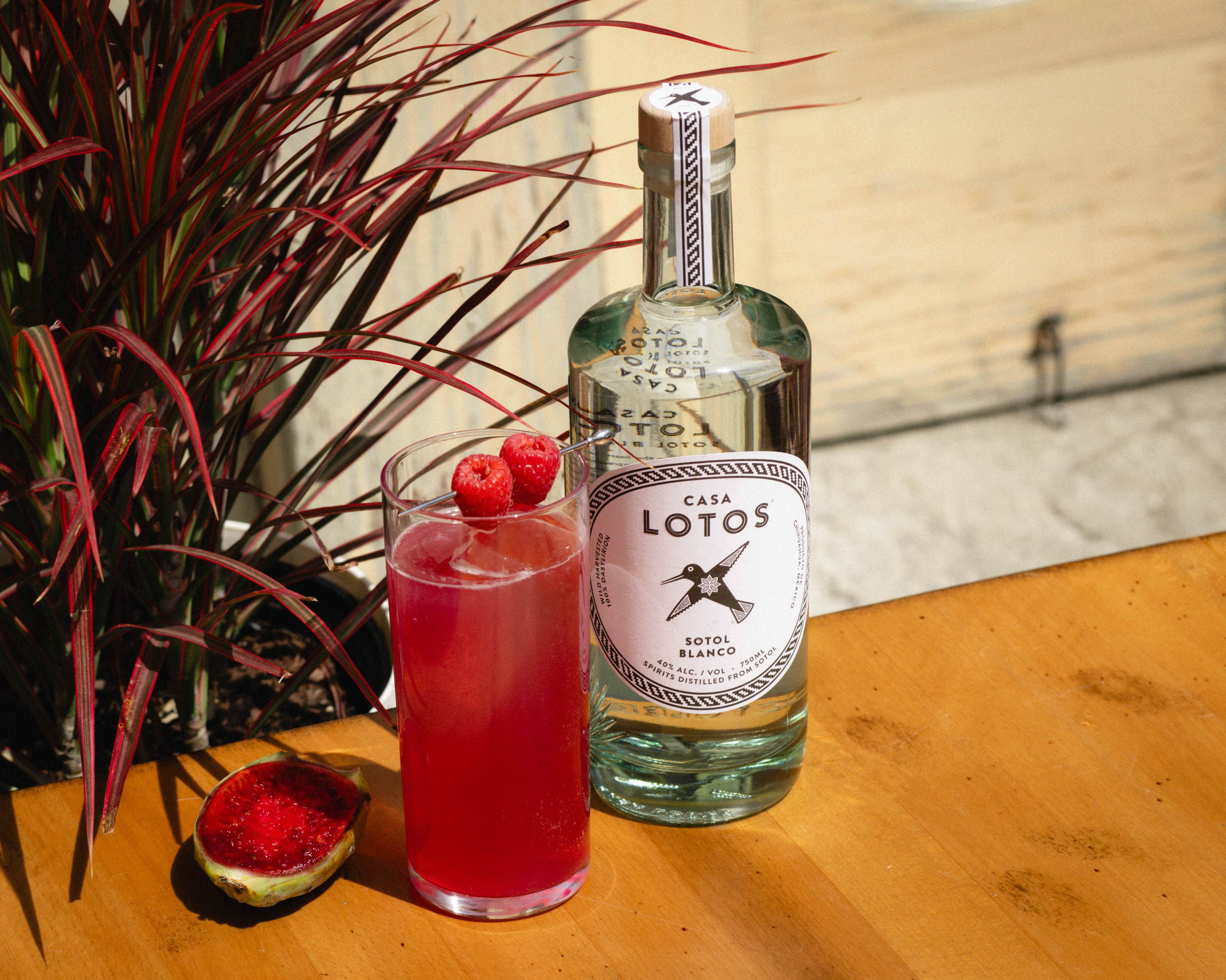 Casa Lotos Launches Seasonal Cocktail Series Rooted in Northern Mexico