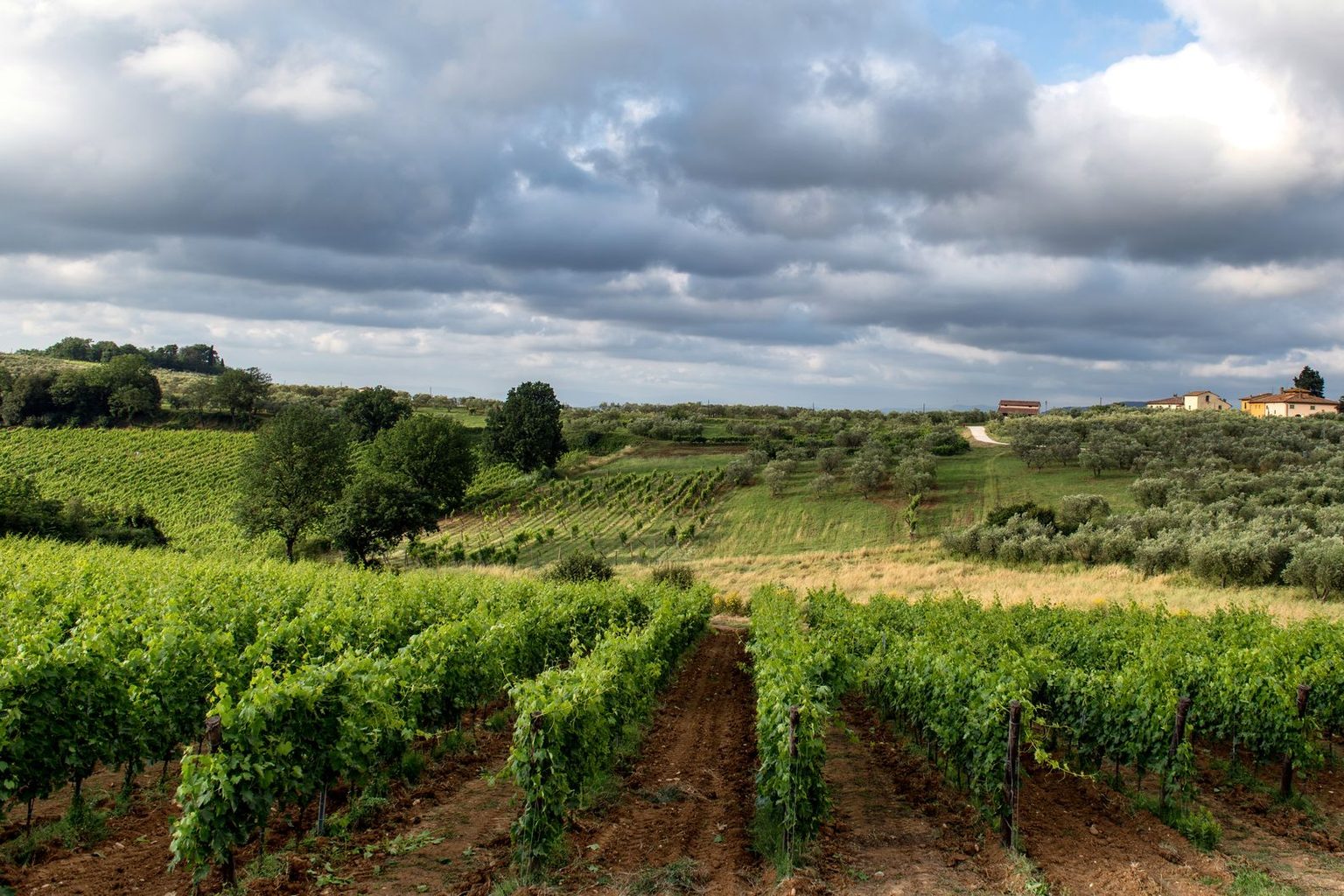 Gratena Focuses on Native Grapes, Natural Winemaking in Tuscany