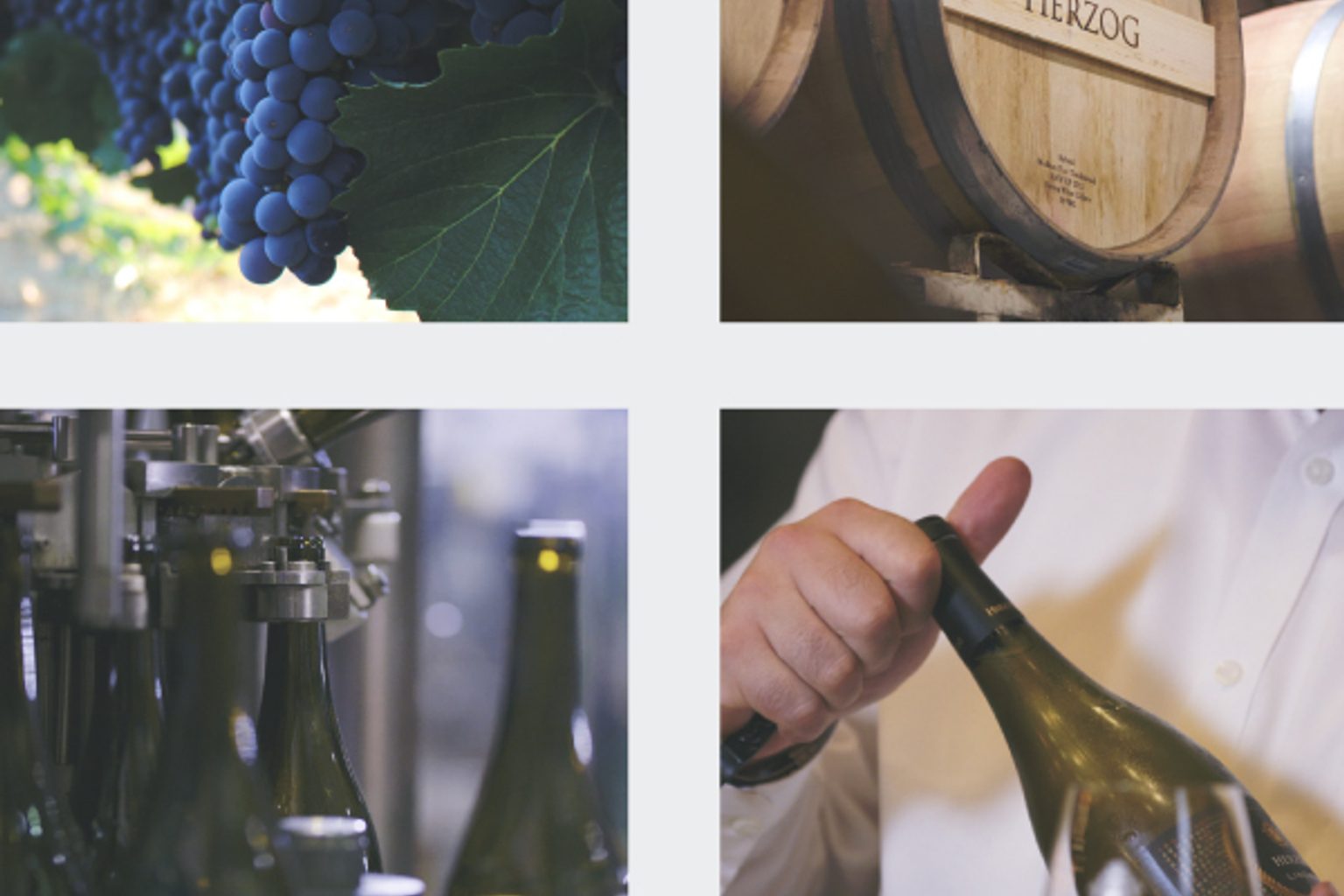 Herzog Wine Cellars Scores 9.1/10 at NYC Tech Week Tasting