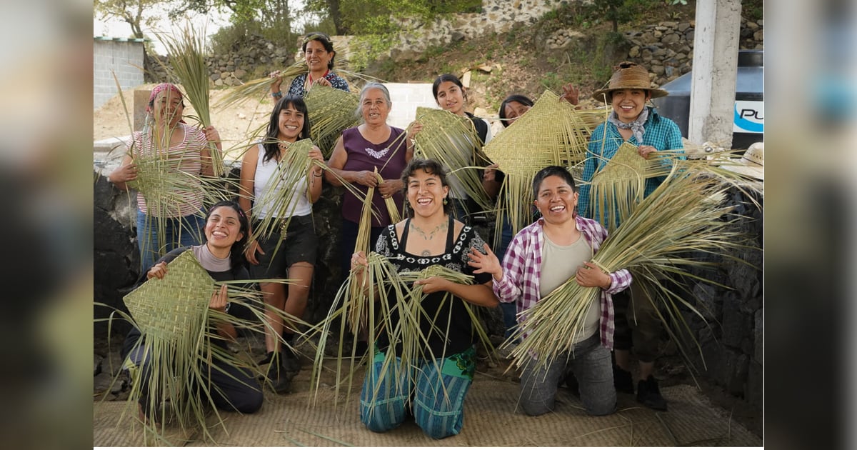 Mijenta Tequila Extends Five-Year Partnership with Women's Earth Alliance