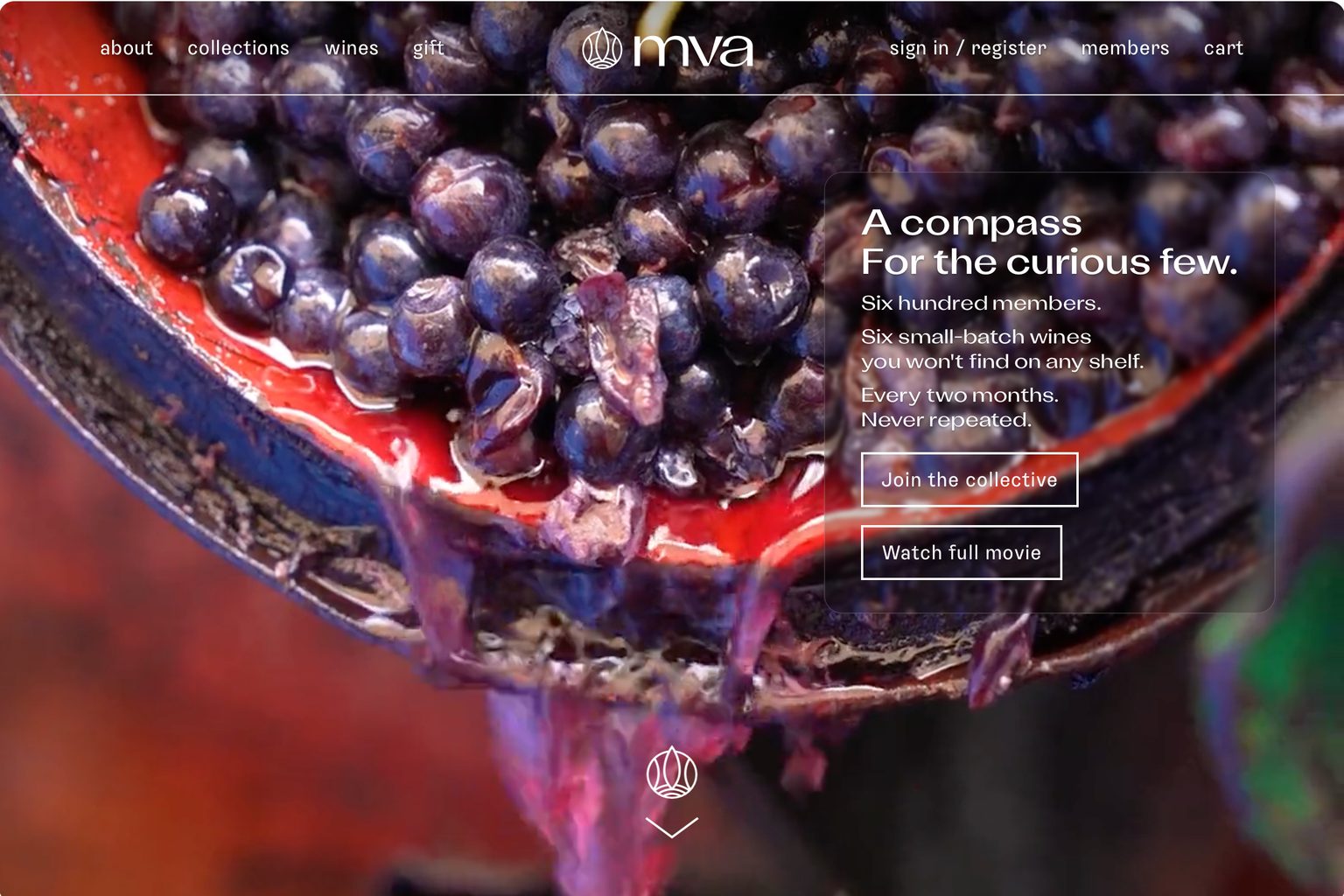 MVA.wine Launches Themed Wine Club Built on Blind Tastings