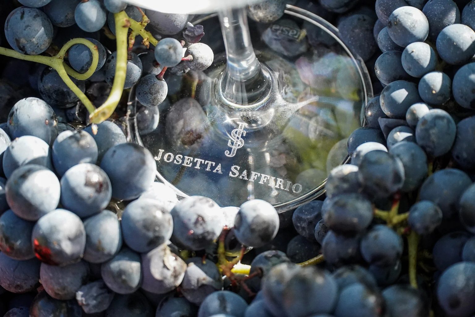 SAFFIRIO SSA — Food & Beverage feature