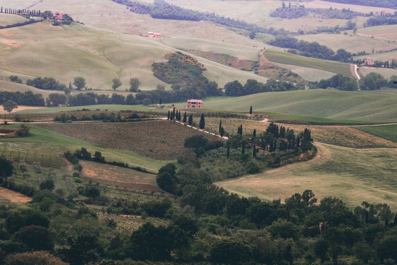 Tuscan Winery Gratena Bets on Native Grapes, Natural Methods